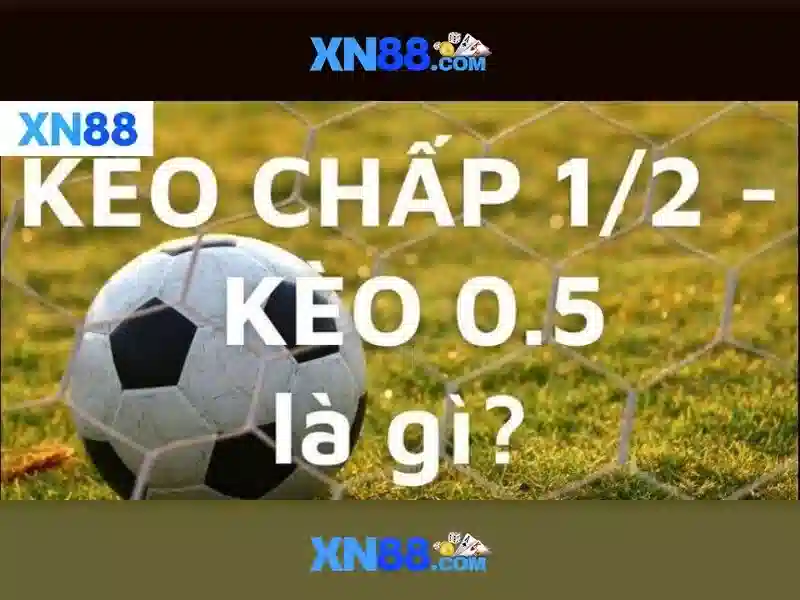 Tính năng và trải nghiệm người dùng Tính năng và trải nghiệm người dùng
