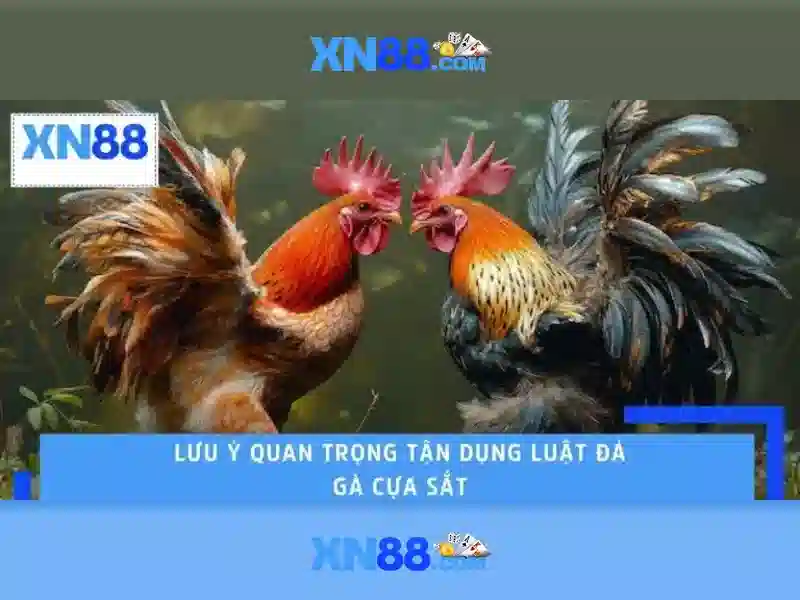 Việt Vị Trong Bóng Đá