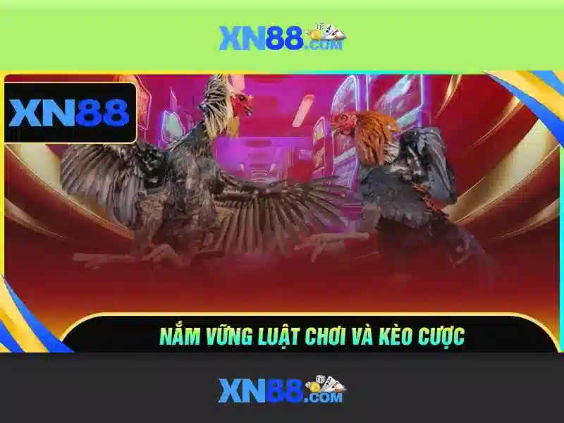 Việt Vị Trong Bóng Đá