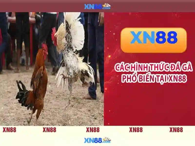 Việt Vị Trong Bóng Đá