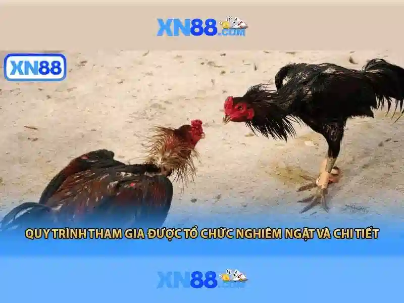 Việt Vị Trong Bóng Đá