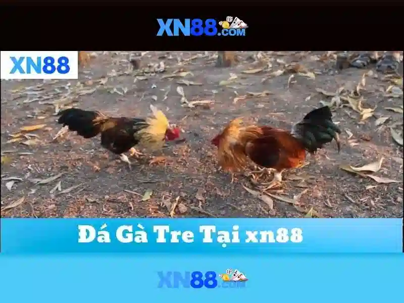 Các dịch vụ tại xn88 Các dịch vụ tại xn88