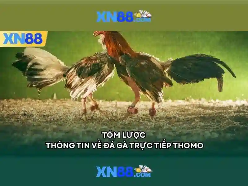 An toàn và cấp phép An toàn và cấp phép