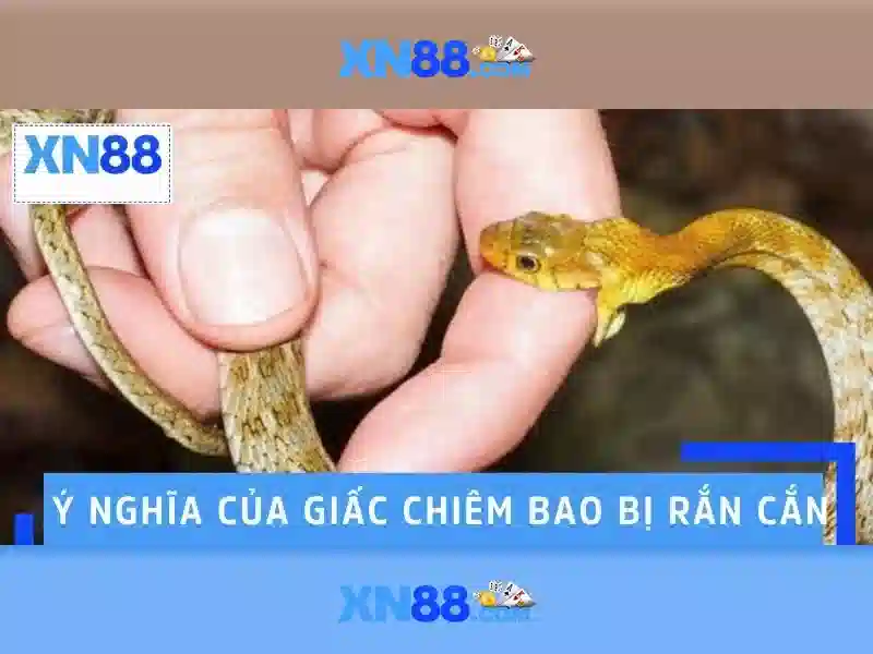 Khuyến mãi và chương trình thưởng