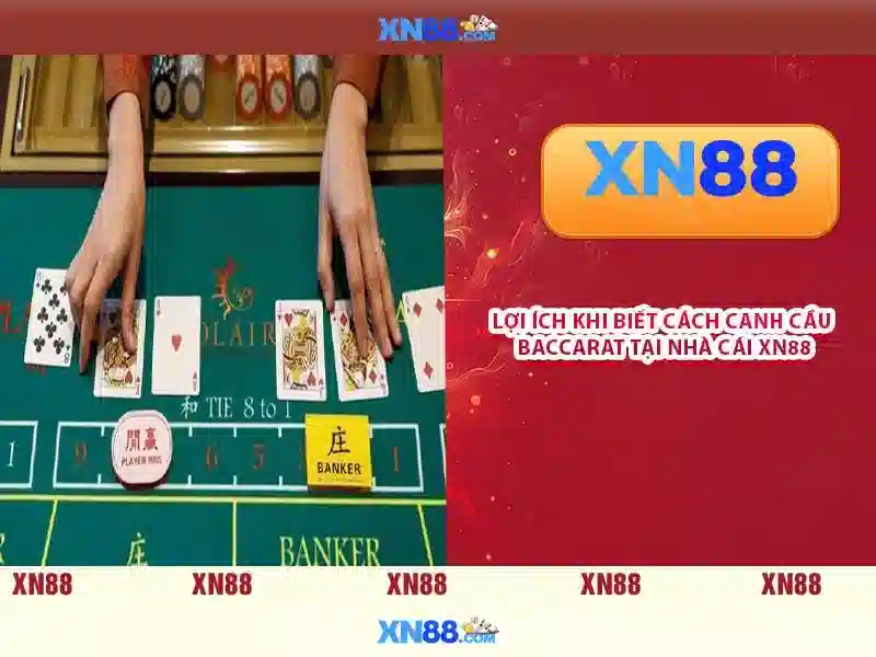 Khái niệm về xn88 Khái niệm về xn88
