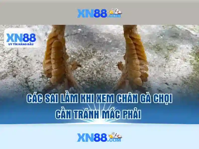 Giới thiệu về xn88