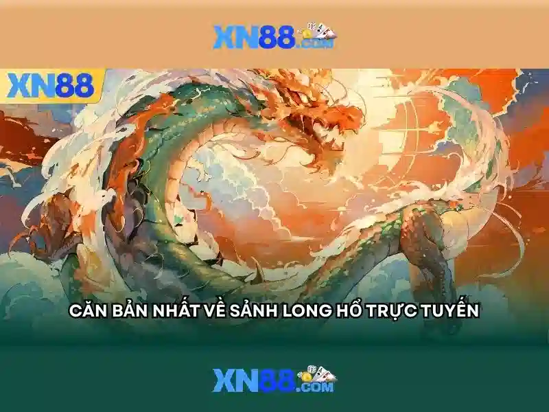 Xn88 là gì? Xn88 là gì?