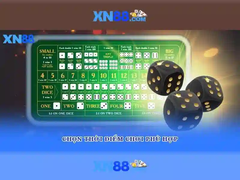 Các sản phẩm chính của xn88