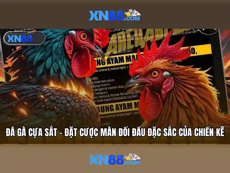 Các sản phẩm và trò chơi trên XN88 Các sản phẩm và trò chơi trên XN88