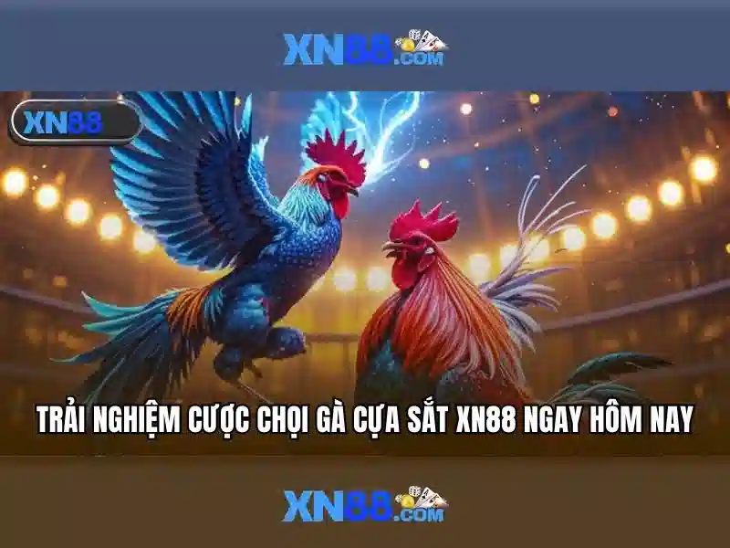 Việt Vị Trong Bóng Đá