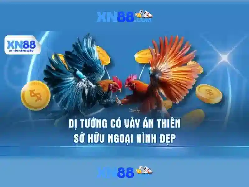 Giới thiệu về xn88