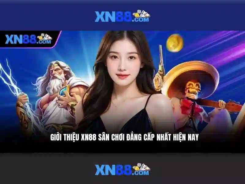 Chính sách và khuyến mãi