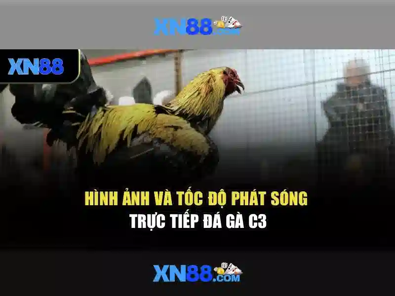 Việt Vị Trong Bóng Đá