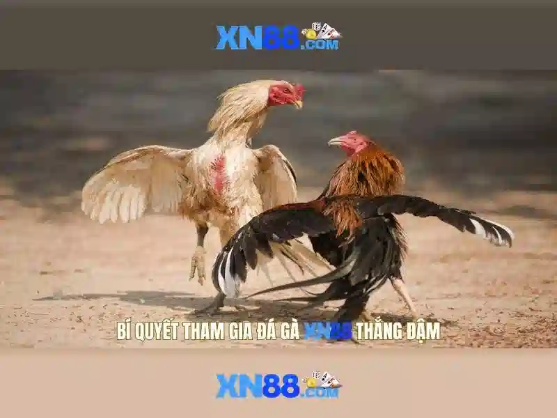 Việt Vị Trong Bóng Đá