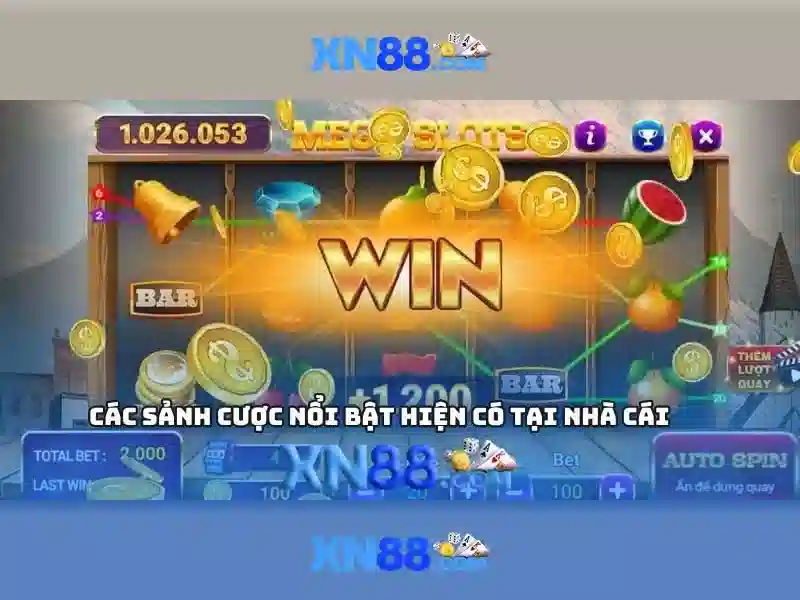 Chính sách an toàn và hỗ trợ khách hàng Chính sách an toàn và hỗ trợ khách hàng