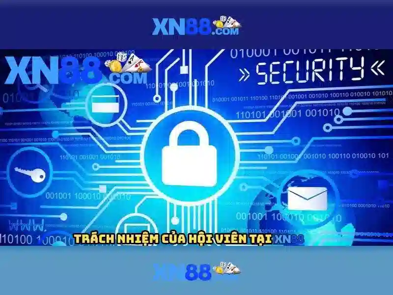 Lịch sử và nền tảng