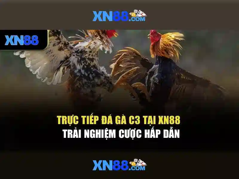 Lịch sử và ứng dụng của xn88 Lịch sử và ứng dụng của xn88