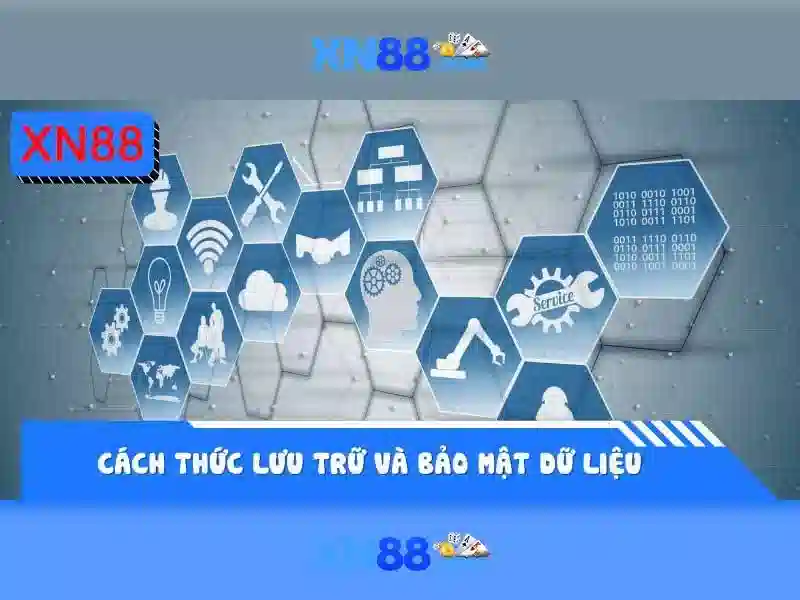 Trải nghiệm người dùng và cộng đồng