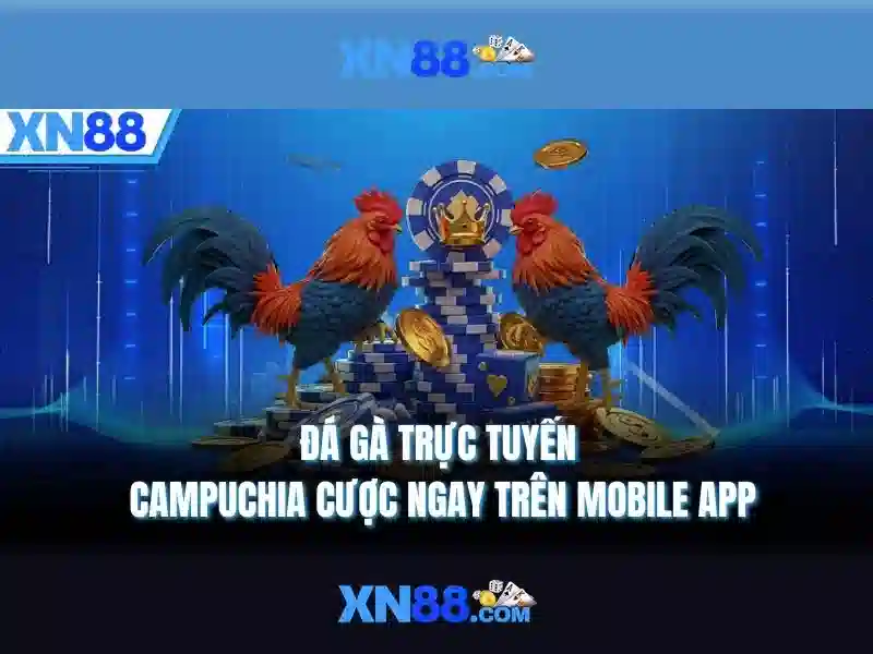 Các tính năng nổi bật