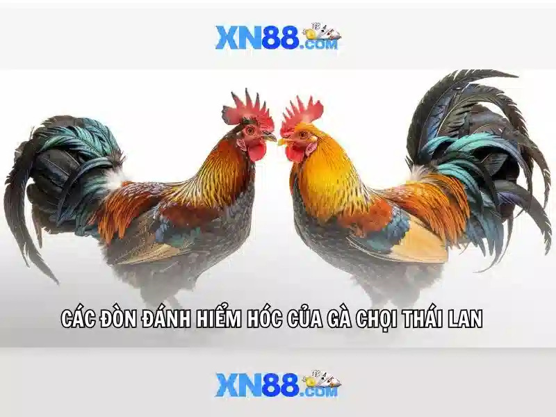 Bảo mật và thanh toán