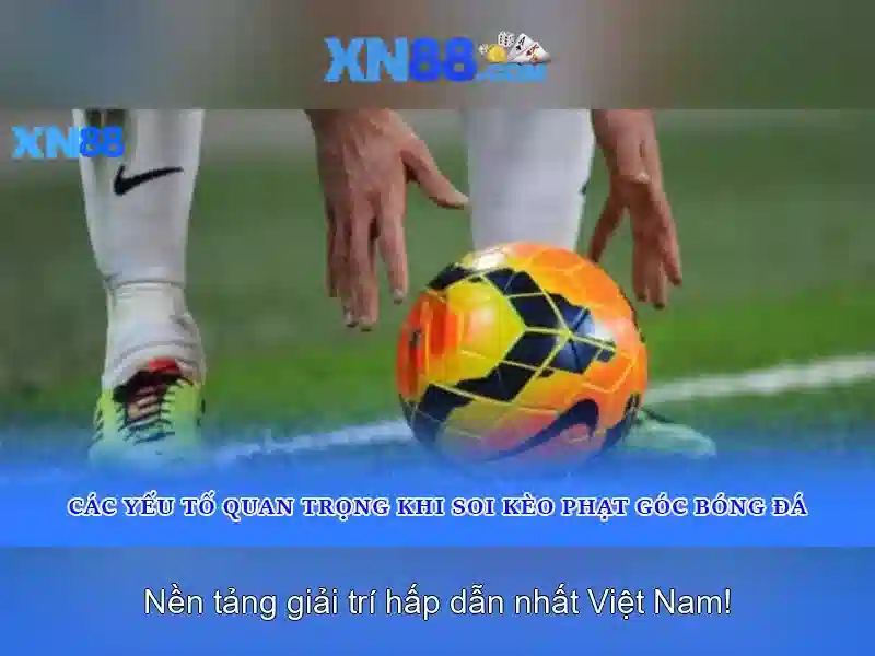 Cách mà xn88 hỗ trợ người dùng