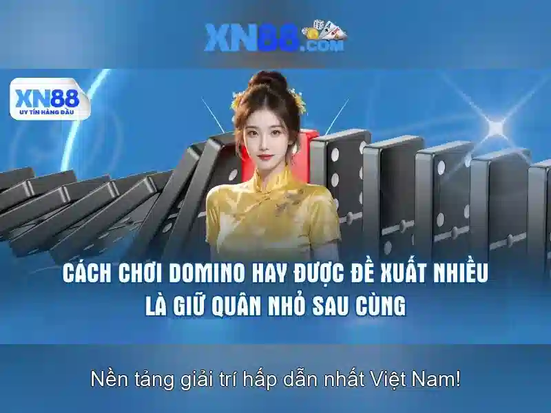 Lĩnh vực hoạt động
