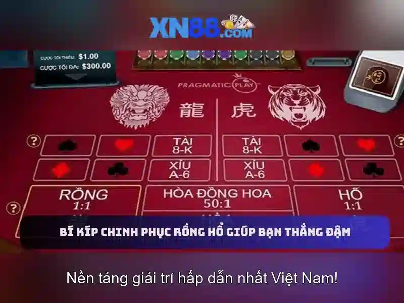 Khuyến mãi và hỗ trợ người dùng Khuyến mãi và hỗ trợ người dùng