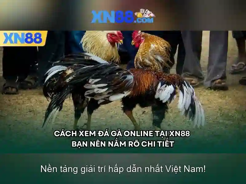 Bull Bull trực tuyến