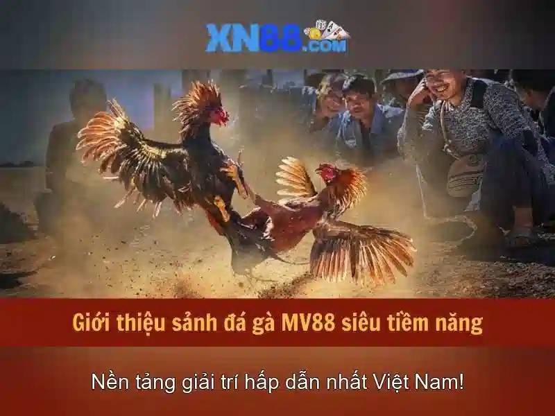 Đăng ký và bảo mật
