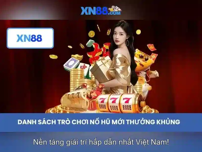Trải nghiệm người dùng và phản hồi cộng đồng