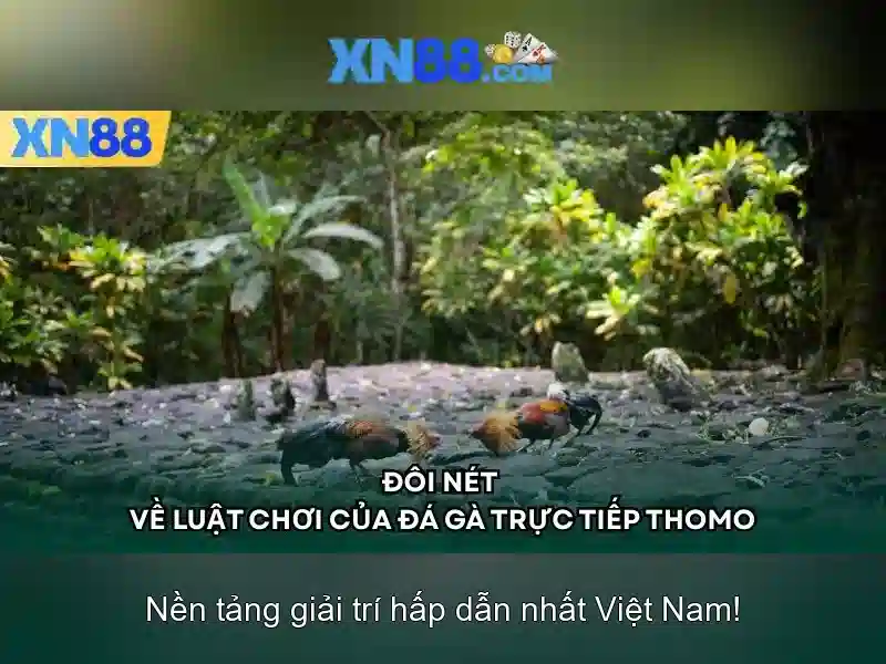 Việt Vị Trong Bóng Đá