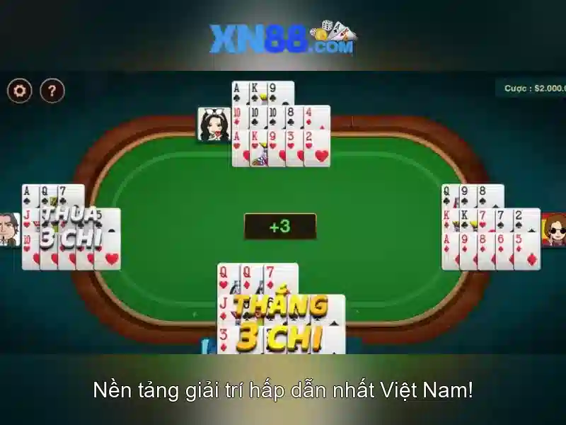 Lịch sử và phát triển