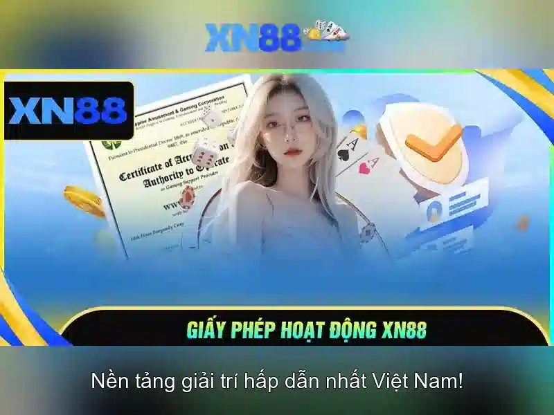 Giới thiệu về XN88 Giới thiệu về XN88