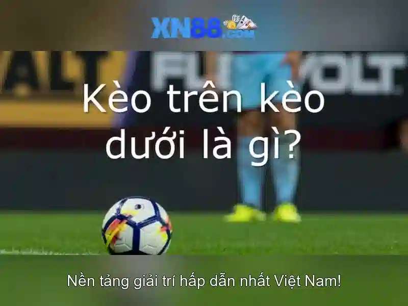 Tính năng nổi bật Tính năng nổi bật