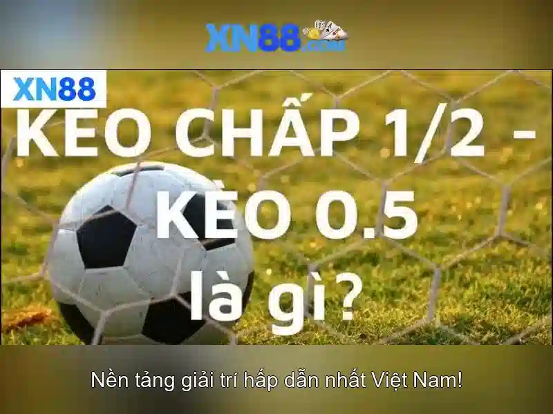 Các tính năng chính và cách sử dụng