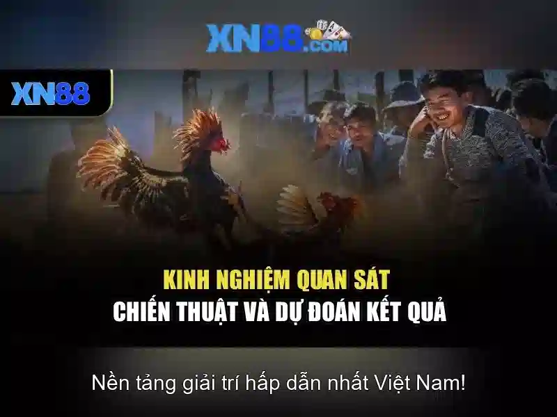 Giới thiệu về xn88 Giới thiệu về xn88