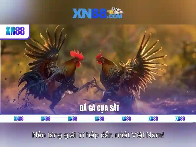 'Lịch sử ngắn gọn của xn88'