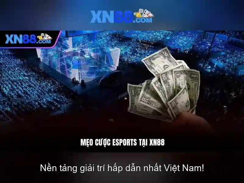 Giao diện và trải nghiệm người dùng