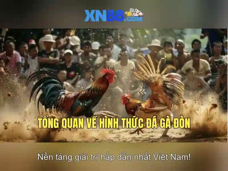 An toàn và chăm sóc người chơi An toàn và chăm sóc người chơi