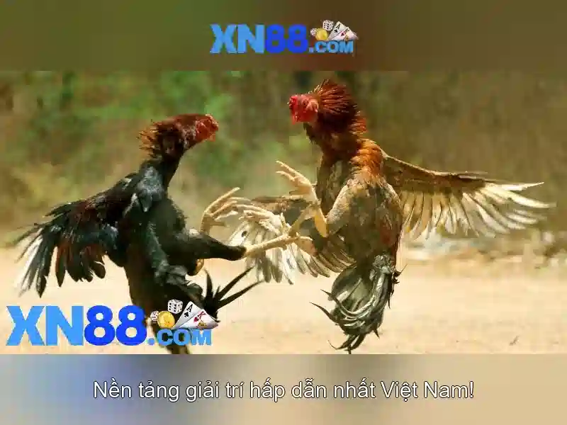 Giới thiệu về xn88 Giới thiệu về xn88