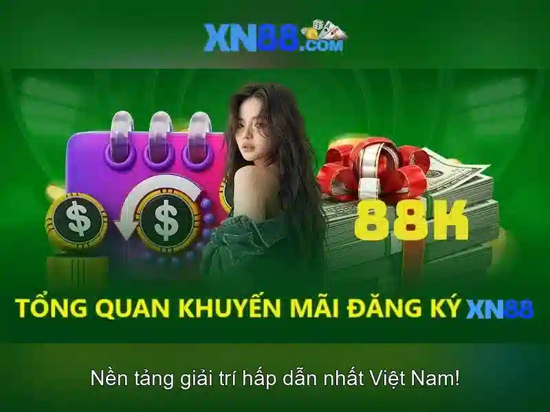 Trải nghiệm người dùng và chức năng