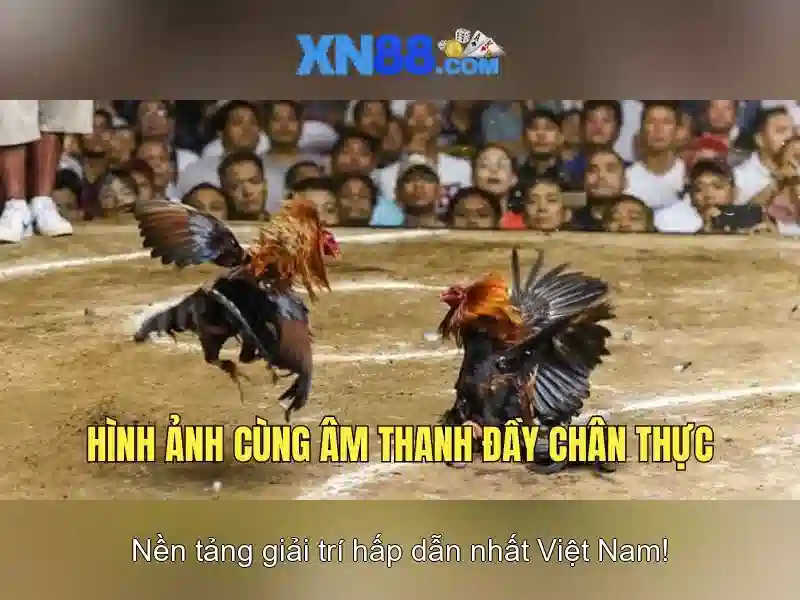 XN88 là một nền tảng trò chơi trực tuyến và giải trí XN88 là một nền tảng trò chơi trực tuyến và giải trí