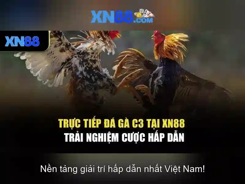 Xn88 là gì?