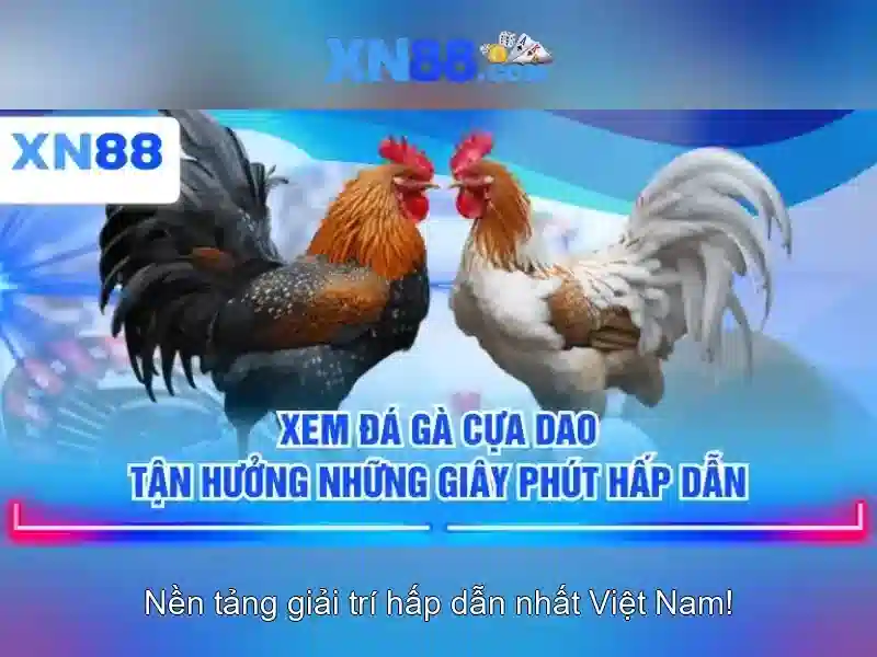 Việt Vị Trong Bóng Đá