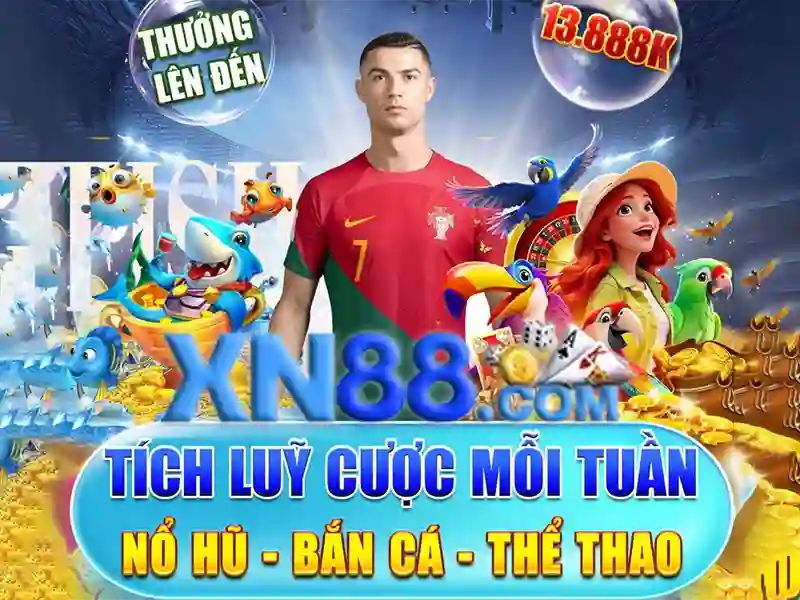 Giao diện và trải nghiệm người dùng Giao diện và trải nghiệm người dùng
